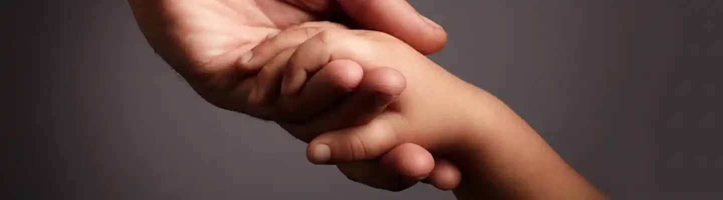 Credit Card Protection Feature Image