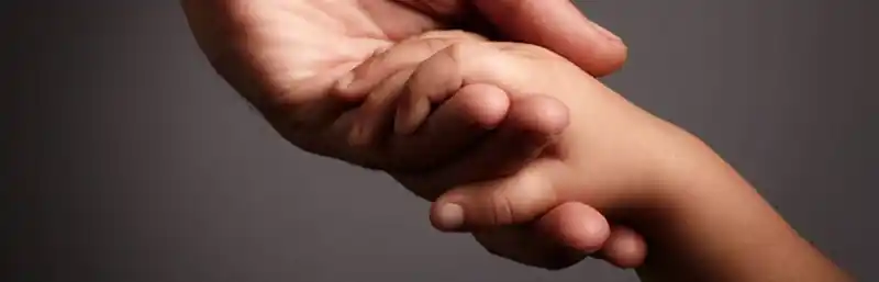 hands